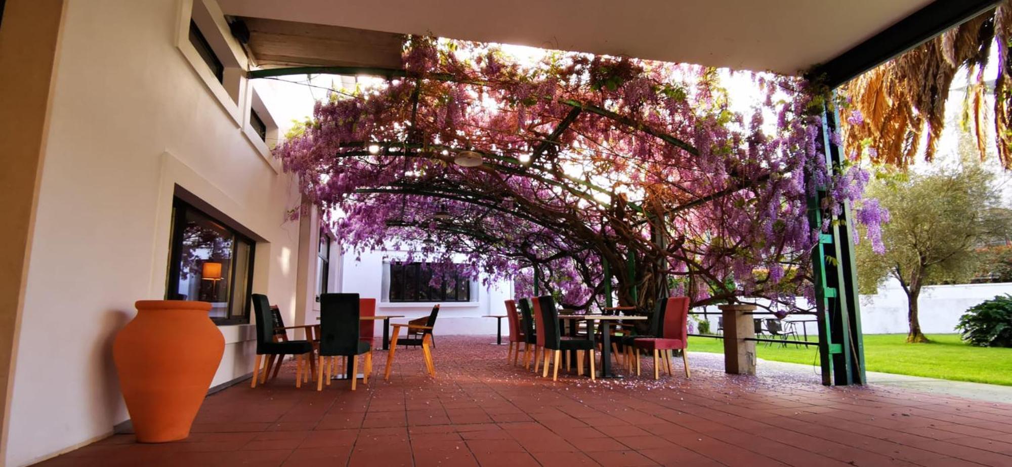 Vina Femita Hostel Villafranca Del Bierzo Exterior photo